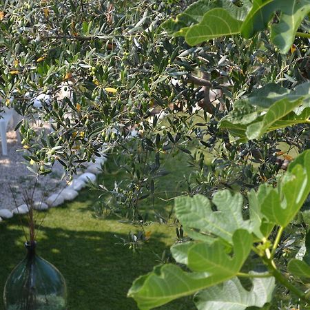 Giardinotto Casa Vacanze Altino  Bagian luar foto